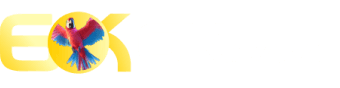 6K.game